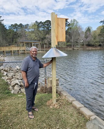 Duck Boxes 1
