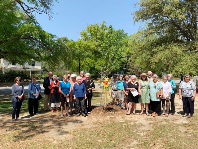 Feature photo: A special tree for the Hales - Vimarsana News