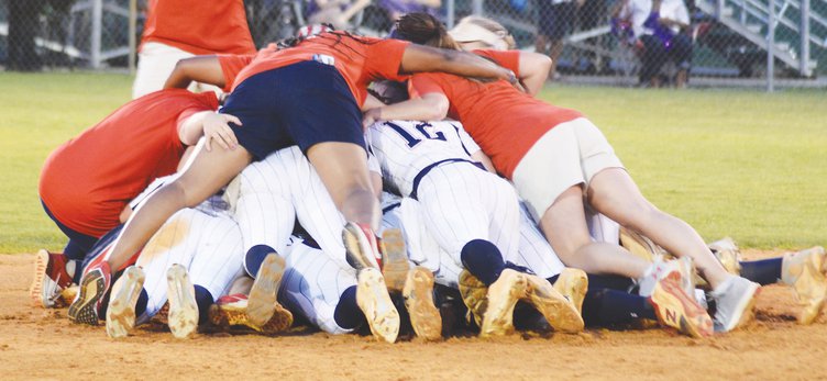 Dogpile web