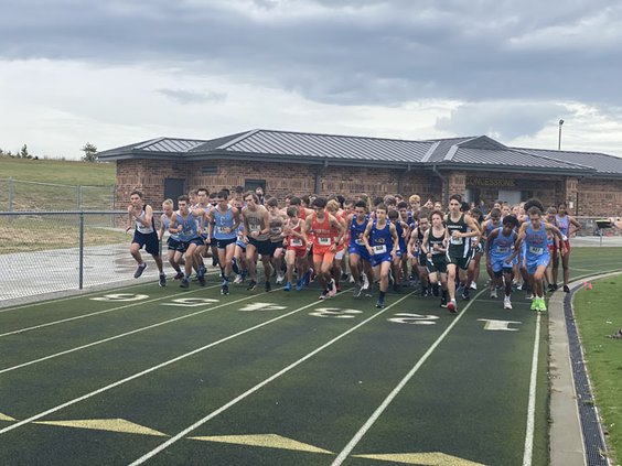 NC run web