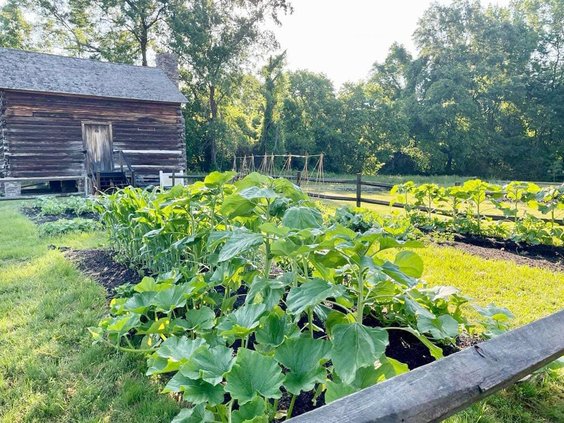 Historic Camden Kitchen Garden